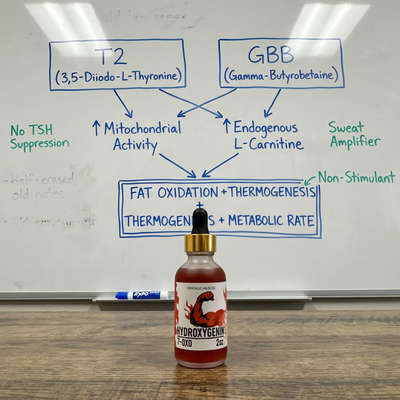 Hormonal Fat Burner, Muscle Preserving - Hydroxygenin™